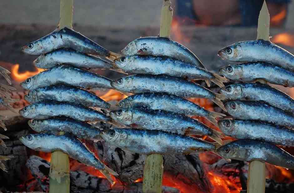 ¿Qué variedad de pescado es el Cazón Blanco o Azul?