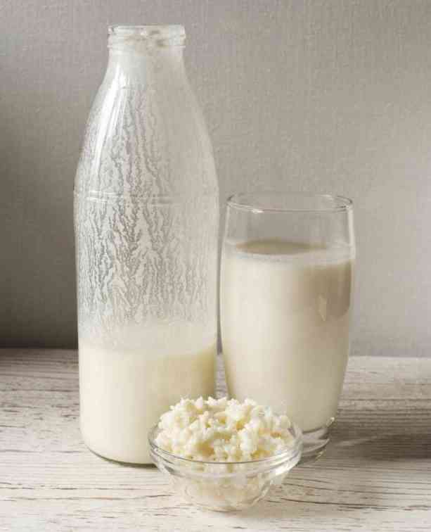 quienes-no-deben-beber-kefir ¿Quiénes no deben beber Kéfir?